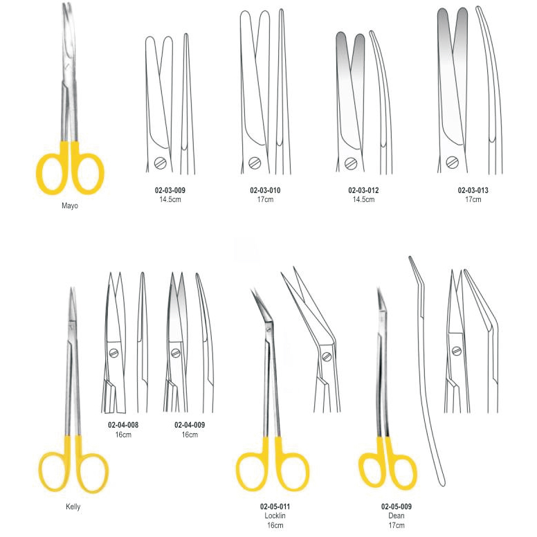 Surgical Scissors TC